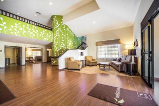 Sleep Inn & Suites Columbus - Columbus - 7