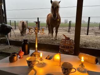 Hoeve de Roskam - Lochem - 4