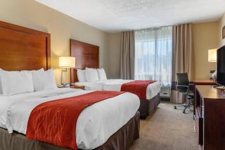 Comfort Inn Albuquerque Airport - 2
