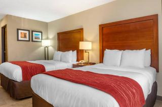Comfort Inn Albuquerque Airport - 1