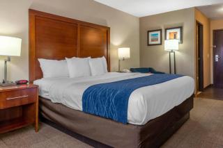 Comfort Inn Albuquerque Airport - 4