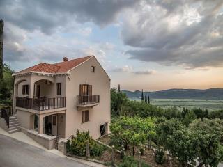 Spacious apartment with private terrace - Pridvorje - 9