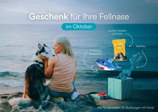 SeaLove 2- EG, barrierearm, Hafenblick, Terrasse, Hund, Infrarotsauna - Olpenitz - 8