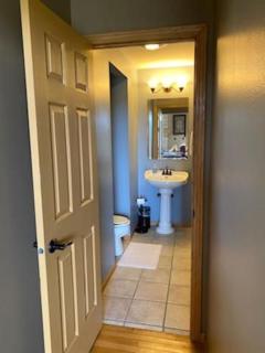 Olive Tree Rentals - 6