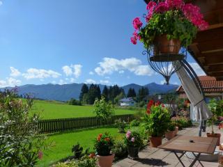 Gemütliche Alpenwohnung in Altenau - Altenau - 4
