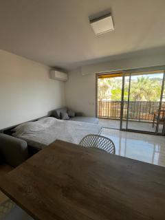 Golf-Juan Apartment 300m de la mer - Vallauris - 1