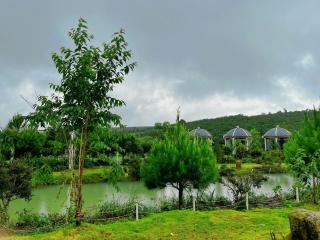 WINDHILL HOMESTAY BẢO LỘC - Căn Bungalow Lux - Ấp Thánh Hương - 8