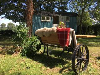 The Scrumpy Shepherd, Brandeston - Cretingham - 4