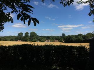 The Scrumpy Shepherd, Brandeston - Cretingham - 3