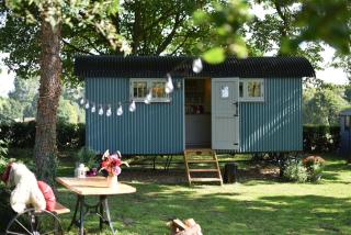 The Scrumpy Shepherd, Brandeston - Cretingham - 2