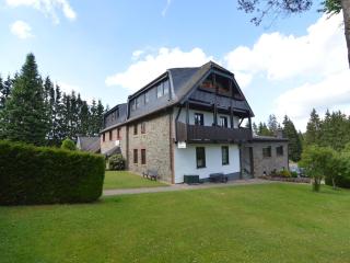 Holiday Home Monschau with Sauna and Terrace - Alzen - 0