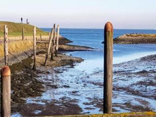 Lovely house in nature - Wissenkerke - 6