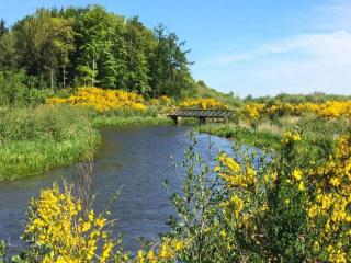 6 person holiday home in Ansager - 3