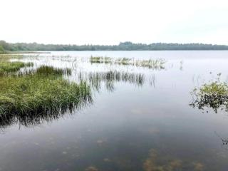 6 person holiday home in Ansager - 4