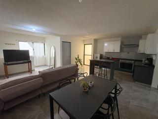 Apartamento Familiar Céntrico - San Luis Potosí - 2