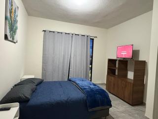 Apartamento Familiar Céntrico - San Luis Potosí - 1