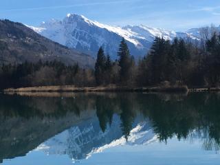 Newly renovated apartment in Verchaix Morillon - Verchaix - 9