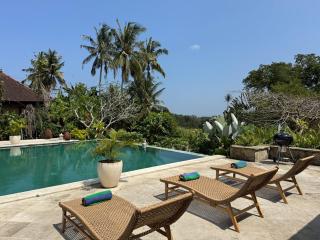Luxury Villa with Pool, Yoga, Jungle activities & Surf near Balian Beach - 8