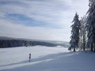 Ski- und Wanderurlaub im Wald Ferienhaus Adlerblick - 6