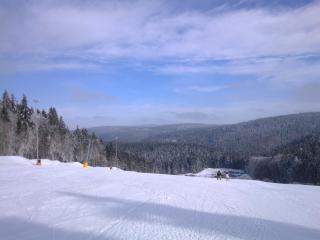 Ski- und Wanderurlaub im Wald Ferienhaus Adlerblick - 8