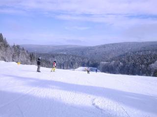 Ski- und Wanderurlaub im Wald Ferienhaus Adlerblick - 7