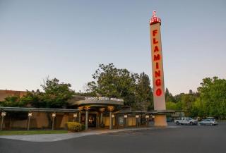 Flamingo Resort & Spa Santa Rosa Sonoma, Tapestry by Hilton - 6