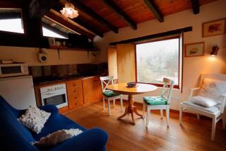 La Cabana del Molí de la Plana - Riudaura - 5