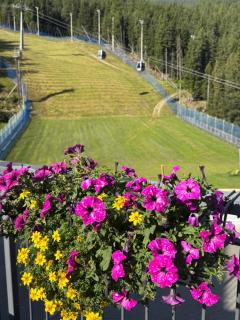 Hotel Genzianella - Santa Caterina Valfurva - 5