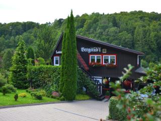Familiennest in Rübeland - Neuwerk - 3