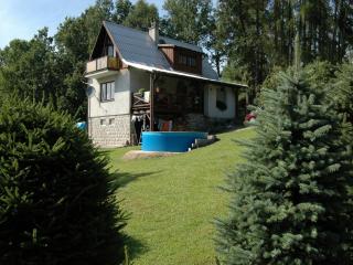 Mountain Retreat with Pool - 9