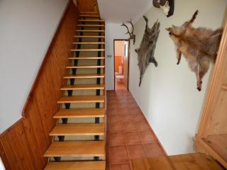 Mountain Retreat with Pool - 3