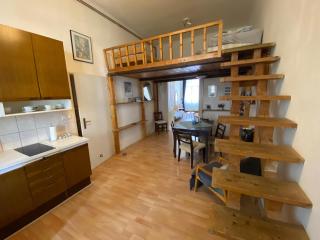 Prague charming flat old Vinohrady - 8