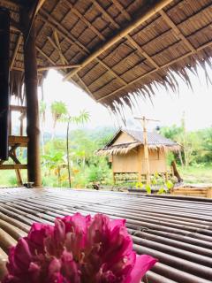Khaosok Eco House - Khao Sok - 3
