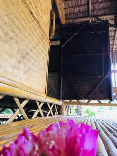 Khaosok Eco House - Khao Sok - 9