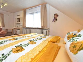 Wohnung in Waldnähe in Frauenwald Thüringen - Frauenwald - 2