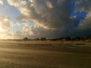 8 person holiday home in Blåvand - Blåvand - 7