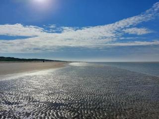 8 person holiday home in Blåvand - Blåvand - 3