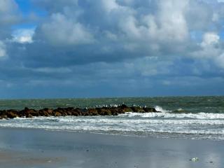 8 person holiday home in Blåvand - 3