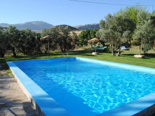 Cottage in Villanueva near Costa del Sol - 9