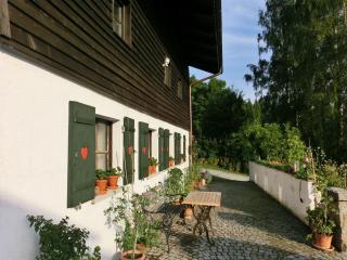 Ferienhaus in Kollnburg mit Garten - Achslach - 1