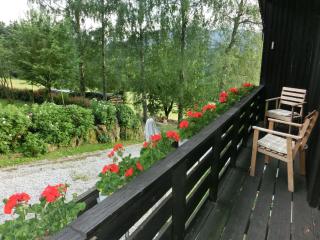 Ferienhaus in Kollnburg mit Garten - 4