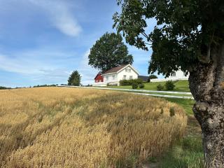 Cozy 2 bedroom house on a farm just outside Lillestrøm - Lillestrøm - 8