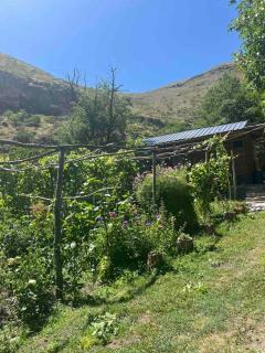 Vardzia Chachkari Cottage - - 1