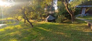 Siedlisko nad stawem - - 1