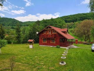Heart of the Forest Penthouse - Ghipeş - 0