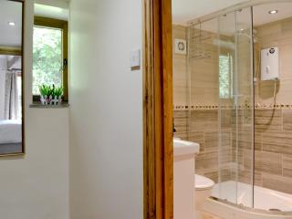 Annies Cottage - Buckland Monachorum - 4