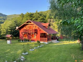 Heart of the Forest Penthouse - Ghipeş - 1