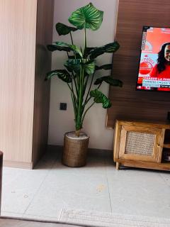 Bahari blue studio - 2