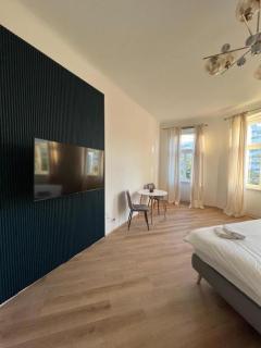 Apartment Schönbrunn Kingsiz Bed - 1