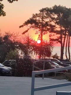 Hotel Gloria - Eforie Sud - 5